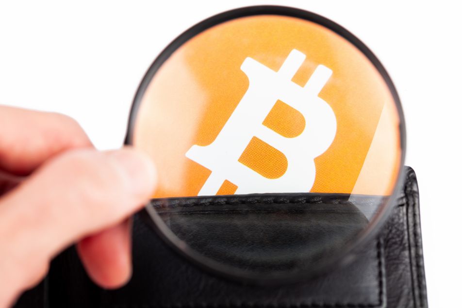 How Do Cryptocurrency Wallets Work?